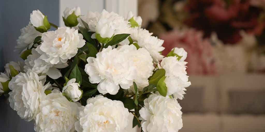 White flowers in a viewing room, illustrating "Do you have to be embalmed in Australia?".